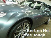 Bert de Jongh