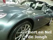 Bert de Jongh