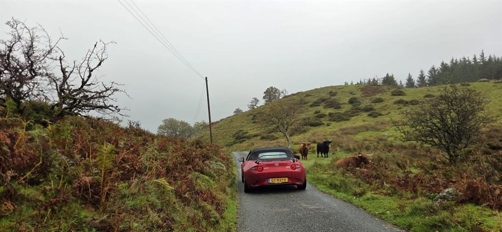 wales3