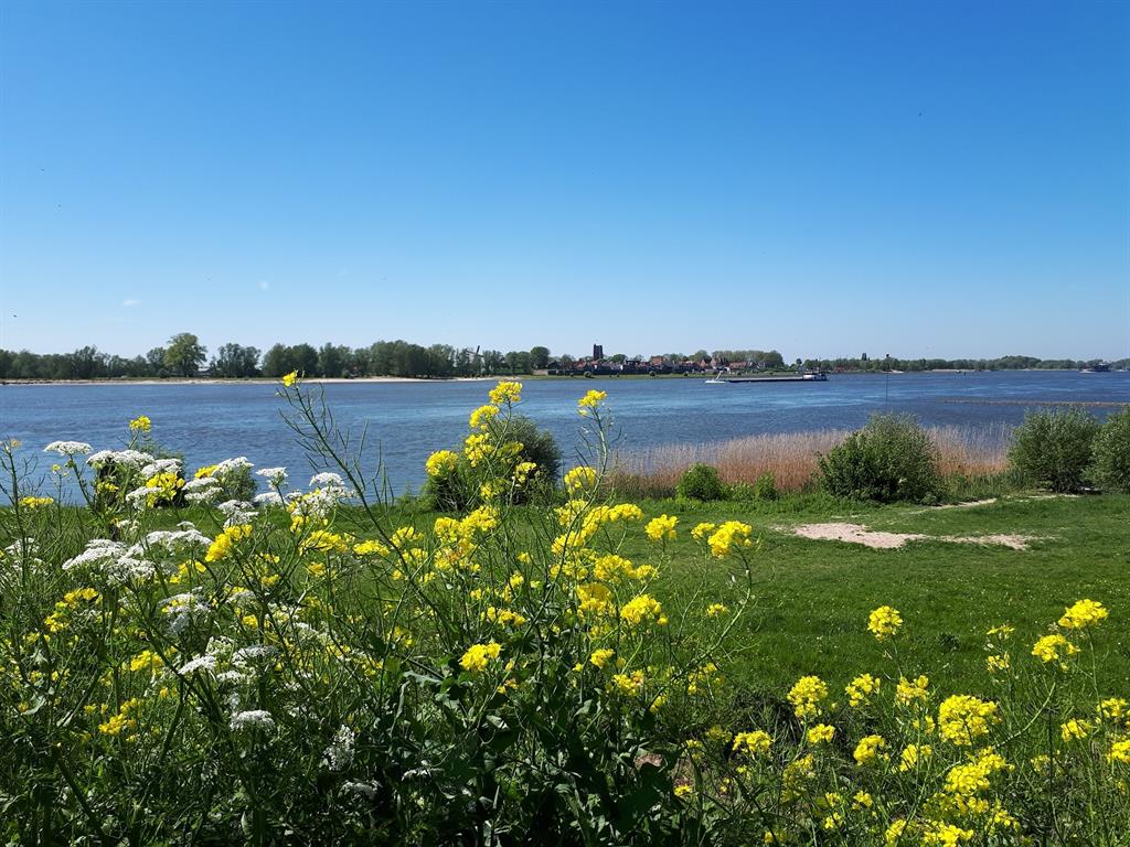 rivierenland