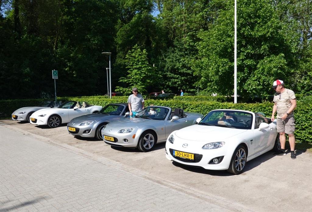 4bloesemrit