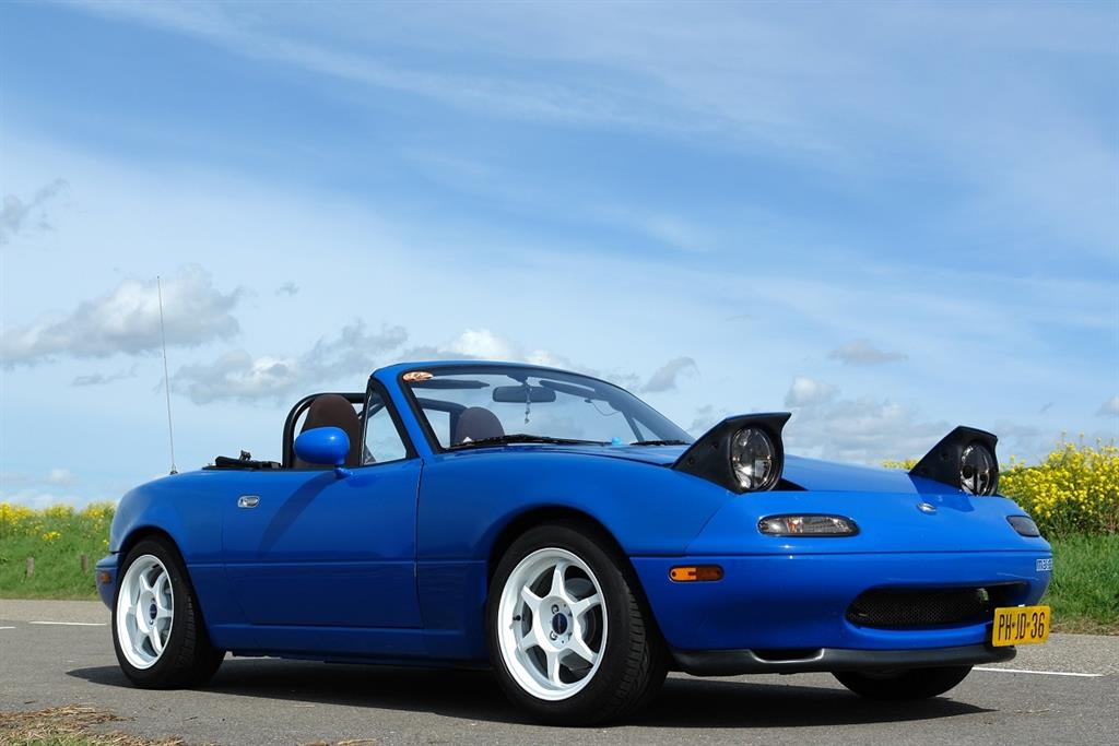 blauw2