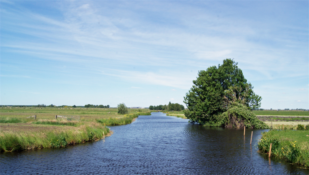 driebruggen