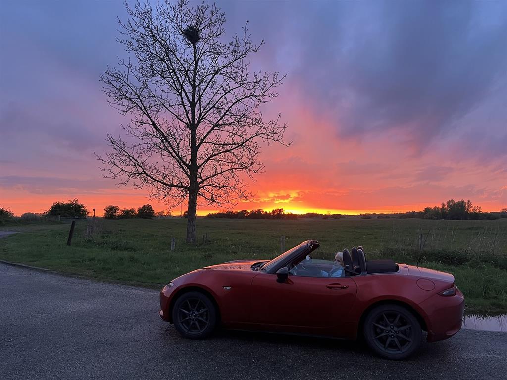 wanneernatuurenmx5samensmelten