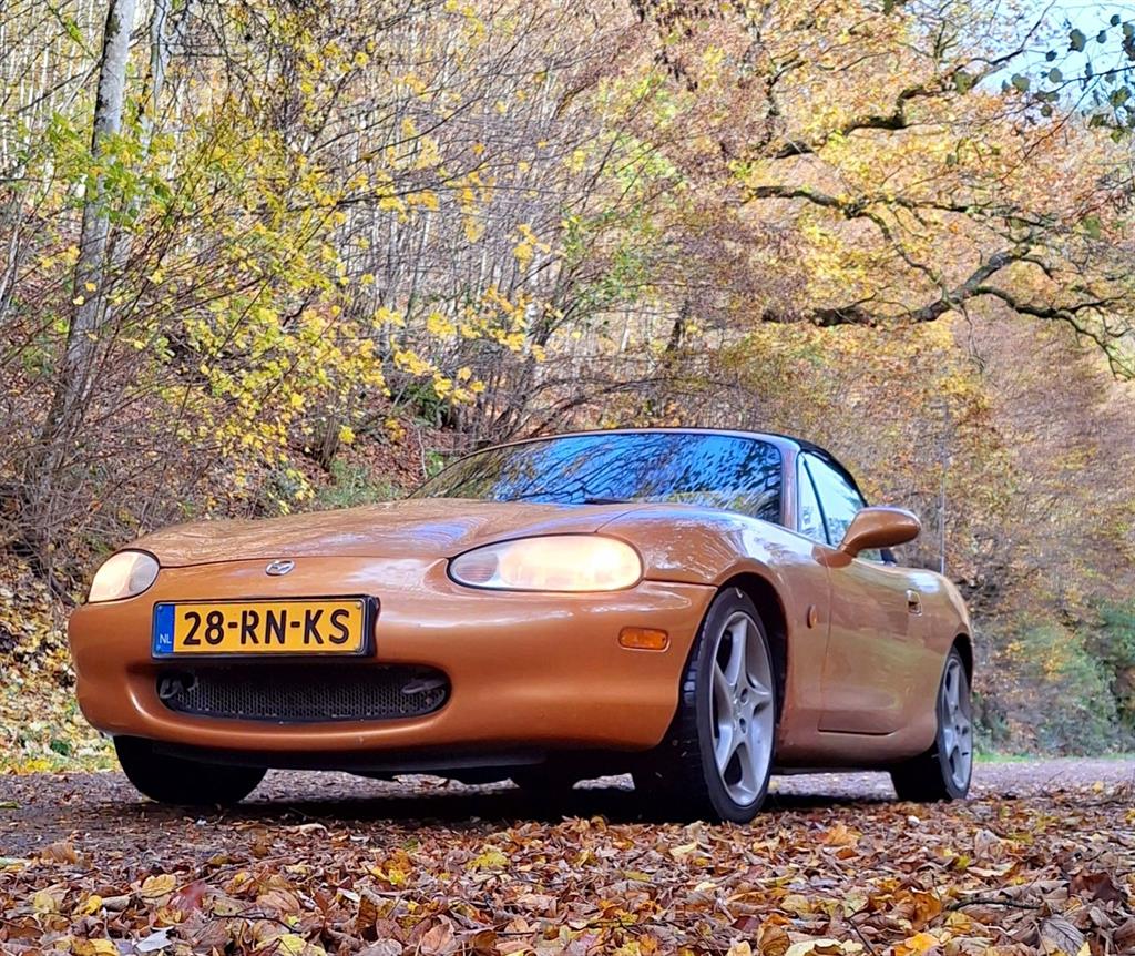 bronzenmx5inherfstgloedfacebook