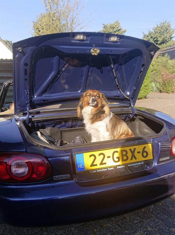 mx‑5metbijrijdermetkarakter