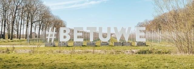 bloesemritopherhaling3