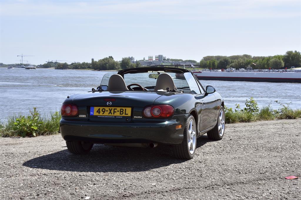 bloesemritopherhaling6