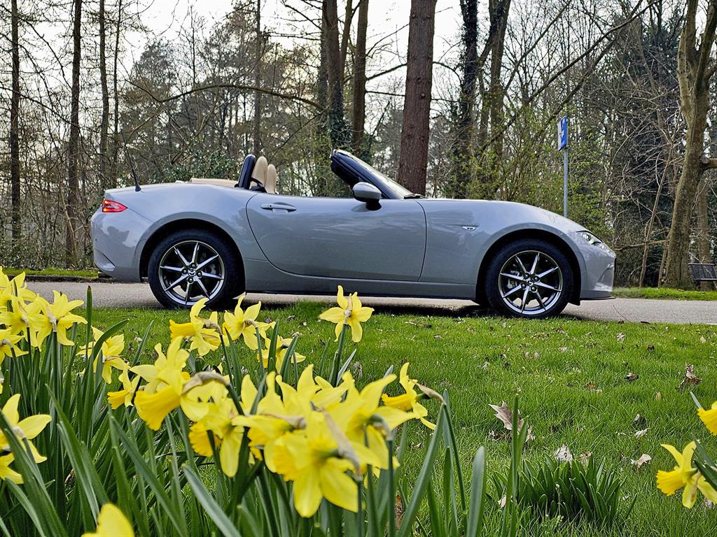 voorjaarinzichtfacebook