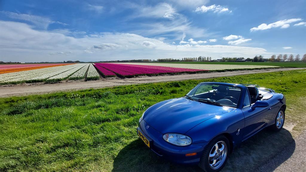 mx5indebloeivanhetseizoen