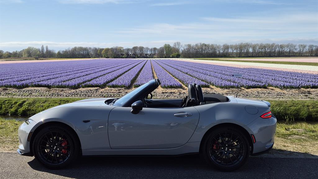 kleurvrijheidenvoorjaarsplezierfacebook