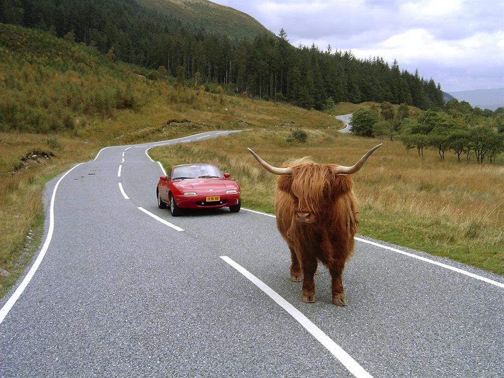 onverwachteweggebruiker