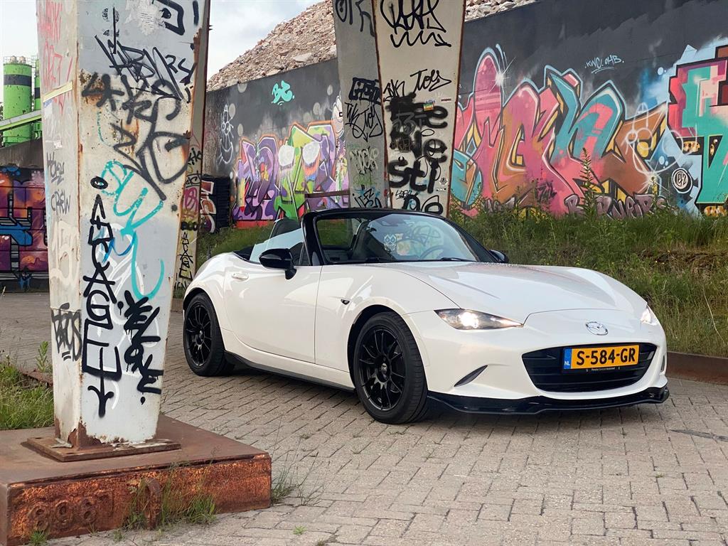 strakkemx5rauwemuren