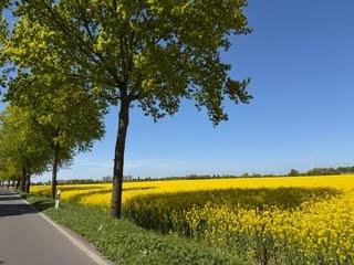 blickuberdiegrenze2