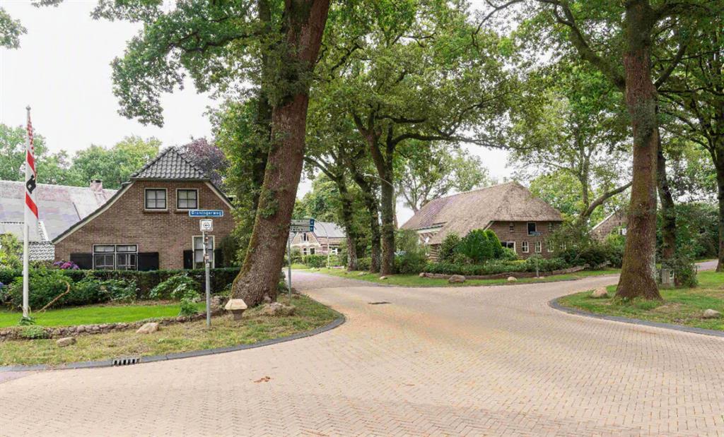 trechterbekersenmegalietenrit3
