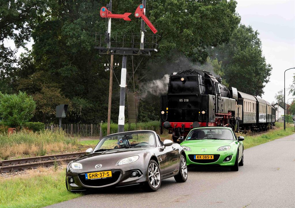 heidebloesemrit50
